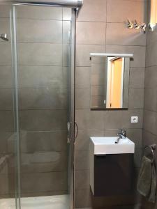 ein Bad mit einer Dusche, einem Waschbecken und einem Spiegel in der Unterkunft Apartamentos Villava Pamplona in Villava