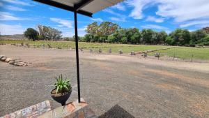 Billede fra billedgalleriet på Klipheuvels Gaste Plaas i Fraserburg