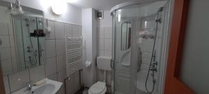 Ett badrum på Pensiunea Aurora -Hostel Voineasa