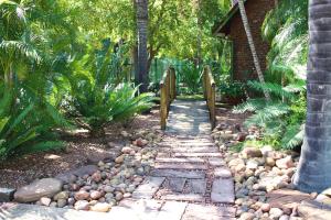 a walkway through a garden with rocks and palm trees at De la Rose Guesthouse in Lephalale