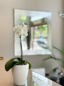 a white flower in a white vase on a table at SM Hotel Teatre Auditori in Barcelona +151 photos