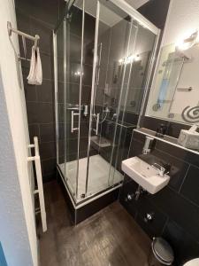 a bathroom with a glass shower and a sink at Siebenschläfer Hof in Straßbessenbach