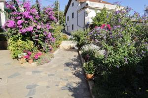 a garden with flowers in pots and a building at Apartments Marija Savudrija in Savudrija