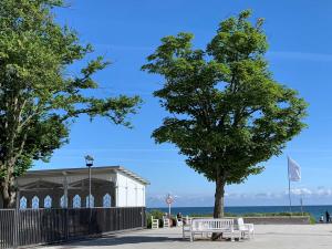 キュールングスボルンにあるFeWo Drei Moewenの海の前に木が植えられた館