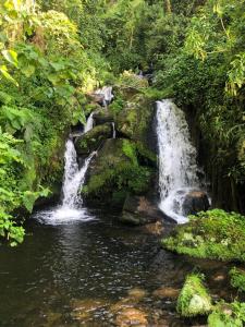 Peisaj natural din apropierea acestei cabane
