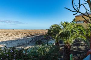 a view of a beach with palm trees and a house at La Vista Bonita in Corralejo +24 photos