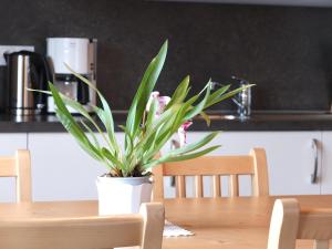 Fotografie z fotogalerie ubytování Haus Schlernblick v destinaci Nova Ponente