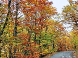 Gallery image of Au pays des abbayes in Dourgne