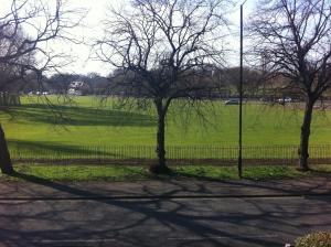 a fence with trees and a field of grass at Chadwick Guest House in Middlesbrough