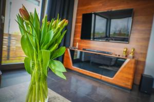 a vase of flowers in a room with a tv at Lemmas Apartament Anchoria in Mechelinki