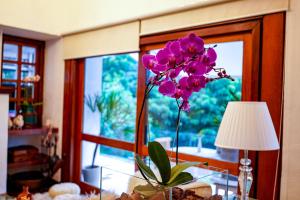 Pousada Hortelã外面的花园