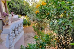 a garden with orange trees and a white fence at Eye of horus in Cairo