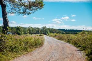 een onverharde weg in het midden van een veld bij Lickershamns Semesterby in Lickershamn