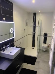 a bathroom with a sink and a shower and a toilet at Beau duplex 90m2 au calme in Buchères