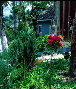 a flower in a garden with a house in the background at Chale Sabrina in Campos do Jordão