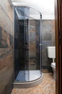 a glass shower in a bathroom with a toilet at Lucomi Chalet - For groups - 5 bedrooms in Poiana Ţapului +27 photos