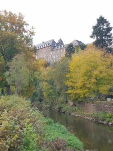 a view of a river with a building in the background at Apartment Deluxe, inklusive WLAN, Parkplatz und Netflix in Schleiden