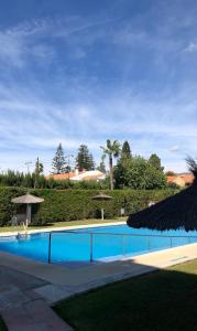 uma grande piscina azul com guarda-sóis e árvores em SEA VIEW APARTMENT / a primera línea de playa em Málaga