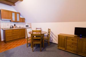 Kuchyň nebo kuchyňský kout v ubytování Apartmány Udatný