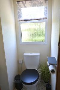 a bathroom with a toilet with a blue seat and a window at Swallows Return in Clynderwen
