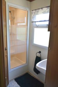 a bathroom with a shower and a sink and a window at Swallows Return in Clynderwen