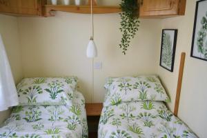 a bedroom with two beds and a hanging plant at Swallows Return in Clynderwen