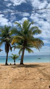 two palm trees on a sandy beach near the ocean at Casa de praia em Barra do Gil in Vera Cruz de Itaparica