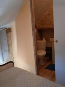 a bathroom with a toilet in an attic at Loft vintage avec cuisine intégrée in Pouilly-en-Auxois