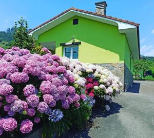 a bunch of flowers in front of a building at Casina verde manzana in Villaviciosa