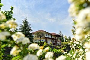 a house on a hill with flowers in the foreground at Horizont Panzio in Odorheiu Secuiesc