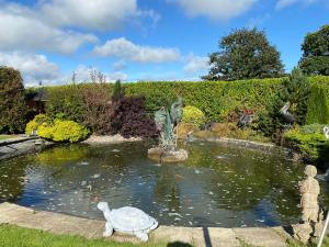 a statue of a turtle in a pond at The Hilltop Haven in St Asaph