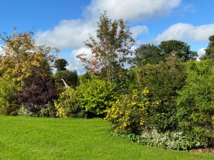 a garden with bushes and trees on a green field at The Hilltop Haven in St Asaph
