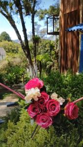 a bouquet of red roses in a garden at Chale Sabrina in Campos do Jordão