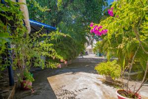 Φωτογραφία από το άλμπουμ του Alojamiento San Martín σε San Andrés +37 φωτογραφίες