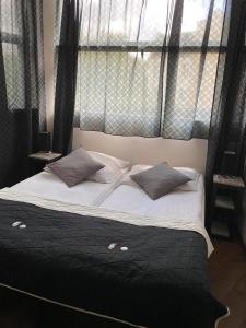 łóżko z dwoma poduszkami przed oknem w obiekcie Pokoje Duchówka w Elblągu