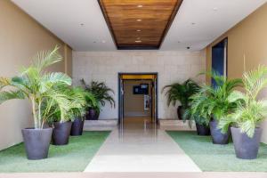 um corredor com vasos de plantas num edifício em Luxury Apartment PH Bahia Resort, Playa Serena em Nueva Gorgona