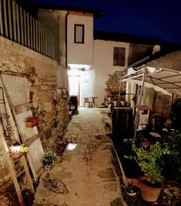 un callejón en un viejo edificio con plantas. en AL CORNIOLO, en Zerba