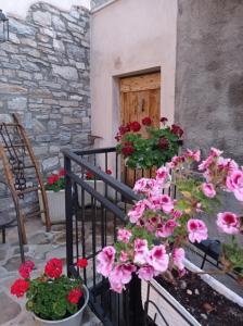 a bunch of flowers on a balcony with a door at AL CORNIOLO in Zerba