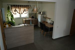 a kitchen with a counter and a table and a kitchen with a tableablish at Pensiunea Giulia Home in Dezmir