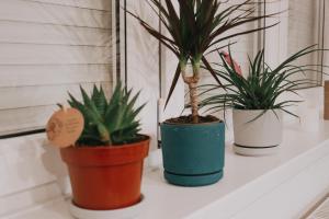 three potted plants sitting on a window sill at Take it easy Apartment in Visoko