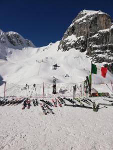 Gallery image of IL RISVEGLIO in Sella Nevea