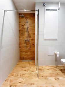 una doccia con porta in vetro in bagno di SKi&bike apartments a Szczyrk