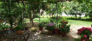 Zahrada ubytování Intos Apartments