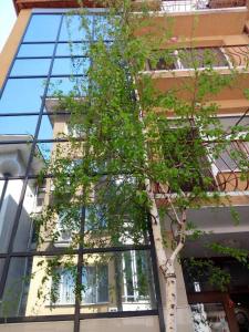 a tree in front of a tall building at Venis House in Plovdiv