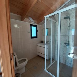 a bathroom with a toilet and a glass shower at Villa Luz II - NEW - Private Outdoor Area in Santa Cruz +19 photos