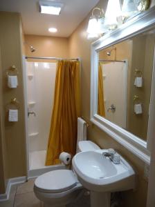 a bathroom with a sink and a toilet and a shower at THE BLUE ROOM Luxury suite in Dover