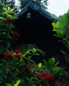 une tente noire dans un jardin avec des fleurs rouges dans l'établissement Beyond Community, à Auroville