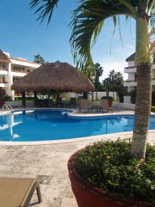 Gallery image of Beachfront Apartment Your Home in Cozumel in Cozumel