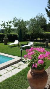 un pot de fleurs roses à côté d'une piscine dans l'établissement Podere Lamaccia - bed and kitchinette, à Cetona