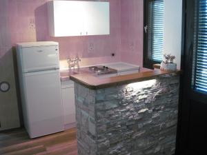 Kuchyň nebo kuchyňský kout v ubytování Guesthouse Lisica